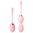 (image for) Double Ball Kit Ben Wa Balls