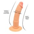 (image for) Thread And Particles Realistic Dildo