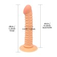 (image for) Threaded Anal Plug