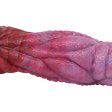 (image for) Dragon Double Penetrator Dildo - 01
