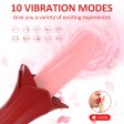 (image for) Lipstick Licking Vibrator