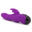 (image for) Perfect Sir Vibrator