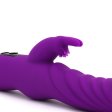 (image for) Perfect Sir Vibrator