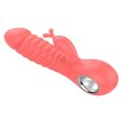 (image for) Fairy Rabbit Heating Vibrator