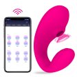 (image for) APP Couple Vibe With Suction