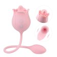 (image for) Twin Blossoms Licking Vibrator