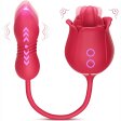 (image for) Licking & Thrusting Vibrator
