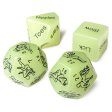 (image for) 4Pcs Luminous Sexy Dice