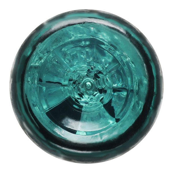 (image for) 2 in 1 Penis Pump & Masturbator