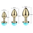 (image for) LED Light Up Anal Plug