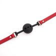 (image for) Silicone Ball Gag With Red& Black Strap
