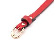 (image for) Silicone Ball Gag With Red& Black Strap