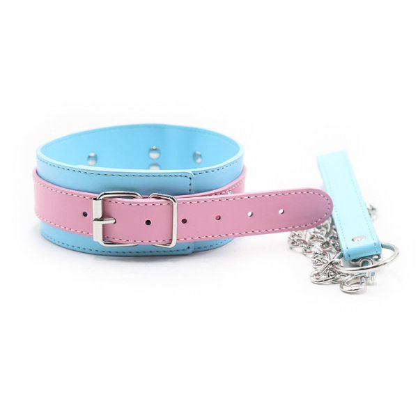 (image for) Blue And Pink Neck Collar