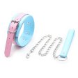 (image for) Blue And Pink Neck Collar