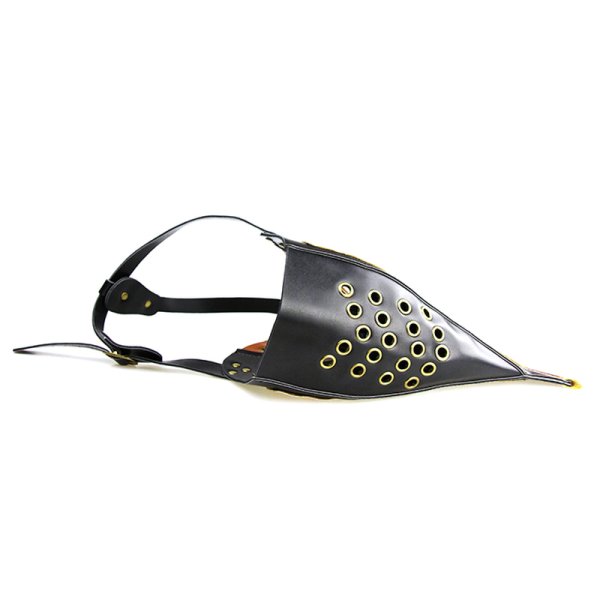 (image for) Medieval Steampunk Mask Party Costume