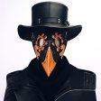 (image for) Steampunk Long Beak Bird Mask Plague Doctor