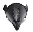 (image for) Steampunk Plague Doctor Bird Mouth Mask