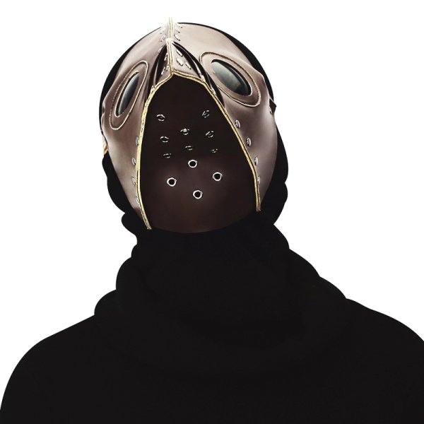 (image for) Steampunk Plicated Cosplay Beak Mask