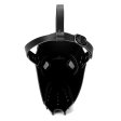 (image for) Steampunk Wide Beak Halloween Mask