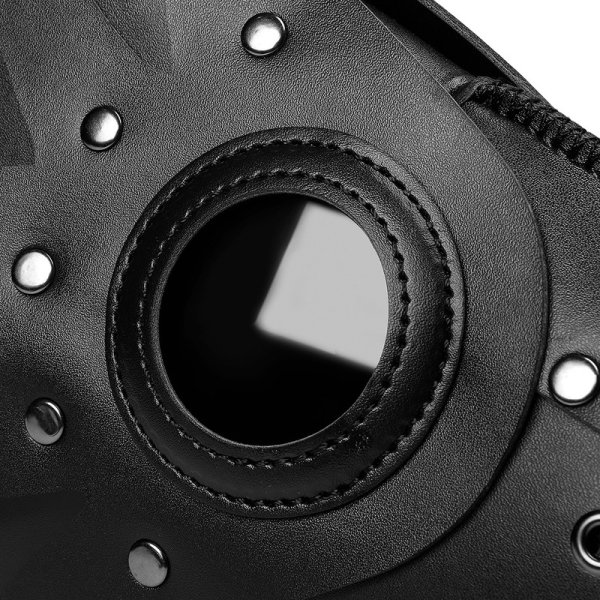 (image for) Steampunk Cutout Wing Beak Mask