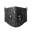 (image for) Steampunk Cutout Skull Mask