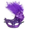 (image for) Feather Masquerade Mask - Lace