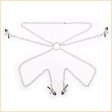 (image for) Four Nipple Clamps With Chain