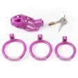 (image for) Sevenada Male Chastity Cage