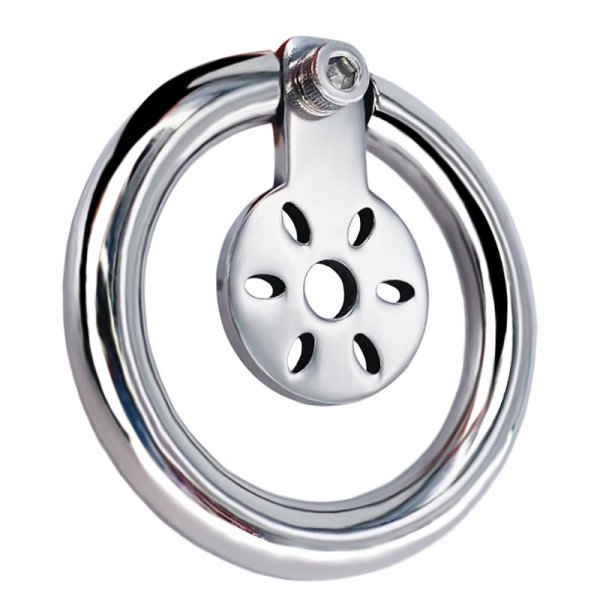 (image for) Hex Screw Pad Cock Lock Cage