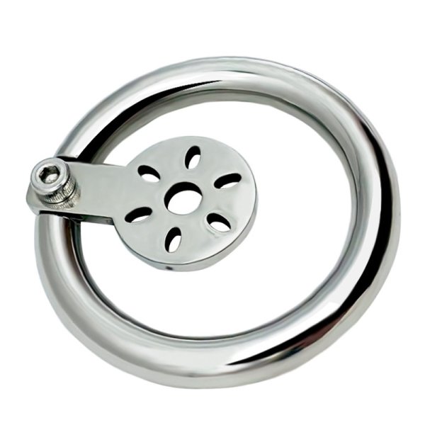 (image for) Hex Screw Pad Cock Lock Cage