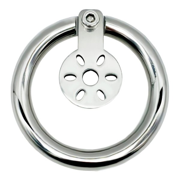 (image for) Hex Screw Pad Cock Lock Cage