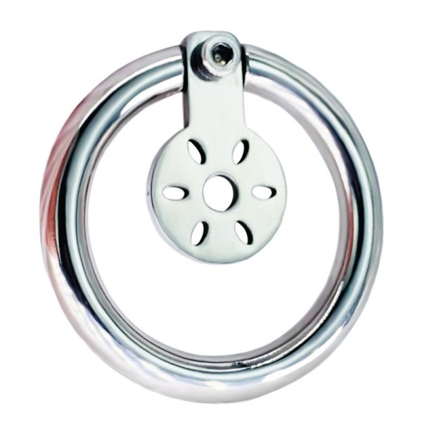 (image for) Hex Screw Pad Cock Lock Cage