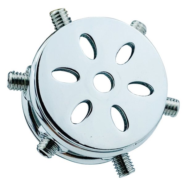 (image for) Rivet Screw Cover Chastity Lock Cage