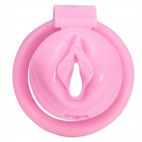 Labia Chastity Cage