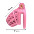 (image for) Honeycomb Plastic Chastity Cage