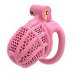 (image for) Honeycomb Plastic Chastity Cage
