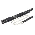 (image for) Double Pin Lock Cuff & Collar Kit