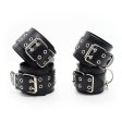 (image for) Double Pin Lock Cuff & Collar Kit