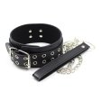 (image for) Double Pin Lock Cuff & Collar Kit