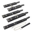(image for) Double Pin Lock Cuff & Collar Kit