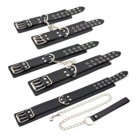 Double Pin Lock Cuff & Collar Kit