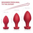 (image for) Rosa Silicone Butt Plug Set