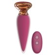 (image for) Remote Control Vibrating Anal Plug