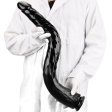 (image for) Super Long Big Giant Penis