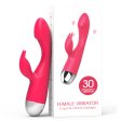 (image for) Bunny Dual Stimulation Vibrator