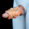 (image for) Haughtiness Dragon Soft Silicone Penis Extender