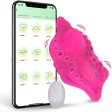 (image for) Panty Clitoral Stimulator