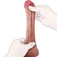 (image for) Scrotum Cover Realistic Cock Sleeve -C
