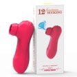 (image for) Diversual Belle Cherry Sucker