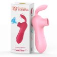 (image for) Sucking Couple Toys